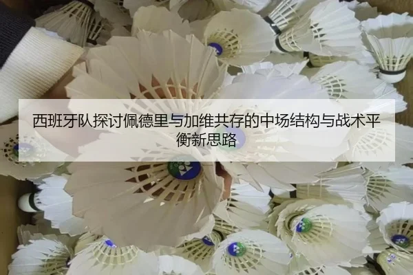 西班牙队探讨佩德里与加维共存的中场结构与战术平衡新思路